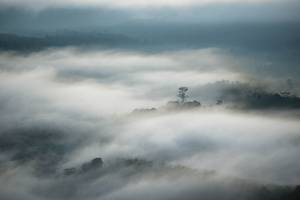 BIB: 
                            <button type="button" onclick="openModal(21900089)" class="btn btn-primary btn-sm float-right btn-popup" data-toggle="modal" data-target=".modal-high-quality">
                        <i class="fas fa-shopping-cart"></i> Add to Cart
                    </button>
                                            <button type="button" onclick="isThisMe(21900089, true)" class="btn btn-success btn-sm float-right btn-popup btn-isme hidden" data-toggle="tooltip" data-placement="bottom" title="นี่คือรูปของคุณใช่ไหม คลิกที่นี่เพื่อเอาเข้าอัลบั้ม">
                        <i class="fas fa-plus"></i> Add to album
                    </button>
                    <button type="button" onclick="isThisMe(21900089, false)" class="btn btn-warning btn-sm float-right btn-popup btn-isnotme hidden">
                        <i class="fas fa-ban"></i> Remove from album
                    </button>